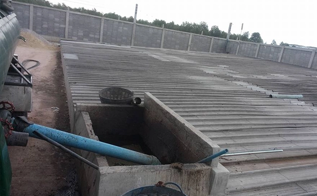 ดูดส้วม